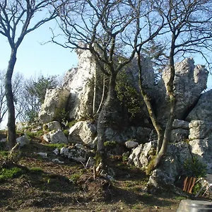 Le Rocher Du Samoyède Affittacamere Dirinon